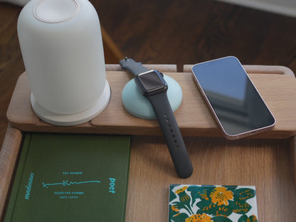 Apple Watch Pillow Blue